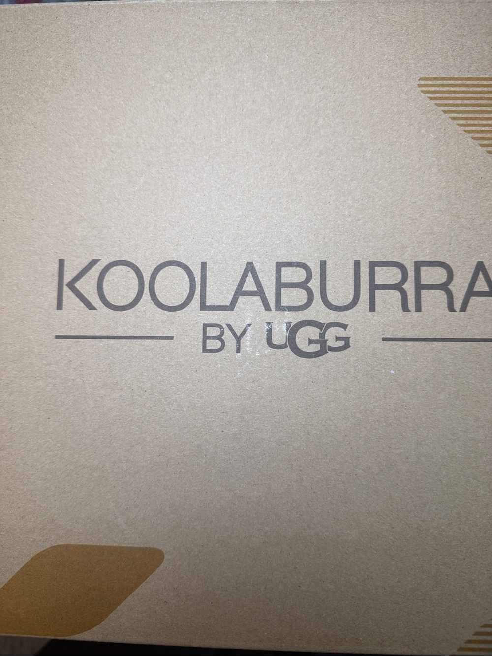 UGG Tan and Brown Branding Box Graphic